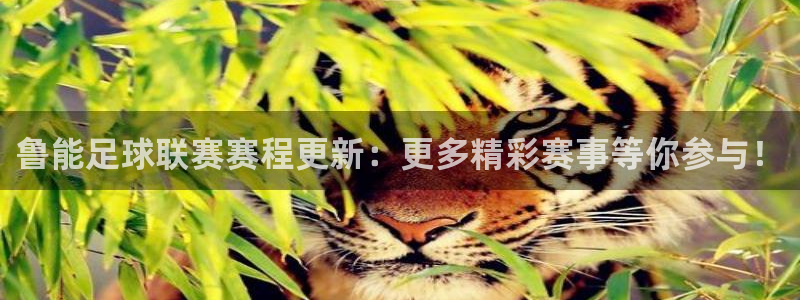 鲁能足球联赛赛程更新：更多精彩赛事等你参与！