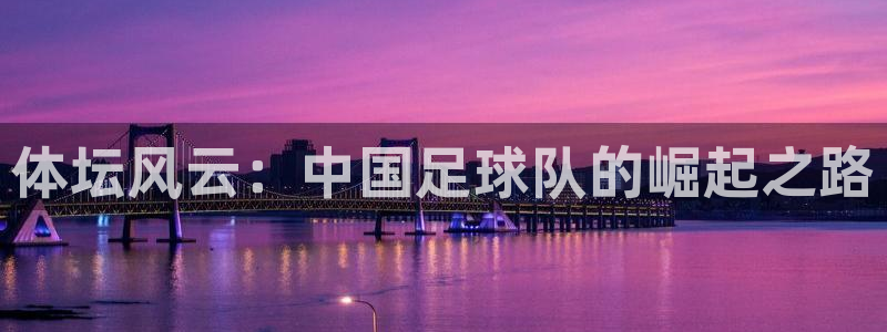体坛风云：中国足球队的崛起之路