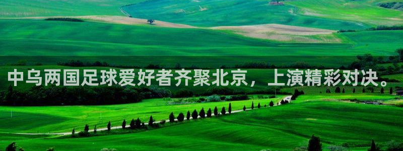 中乌两国足球爱好者齐聚北京，上演精彩对决。