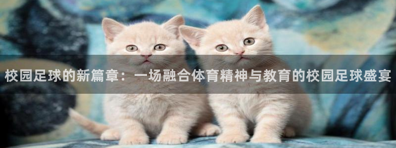 校园足球的新篇章：一场融合体育精神与教育的校园足球盛宴