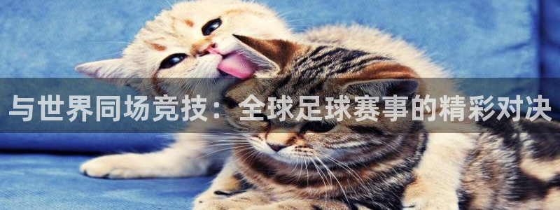  与世界同场竞技：全球足球赛事的精彩对决
