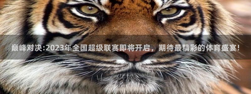 巅峰对决:2023年全国超级联赛即将开启，期待最精彩的体育盛