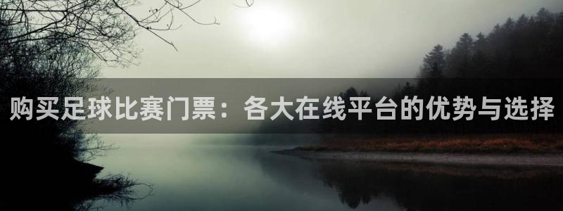  购买足球比赛门票：各大在线平台的优势与选择