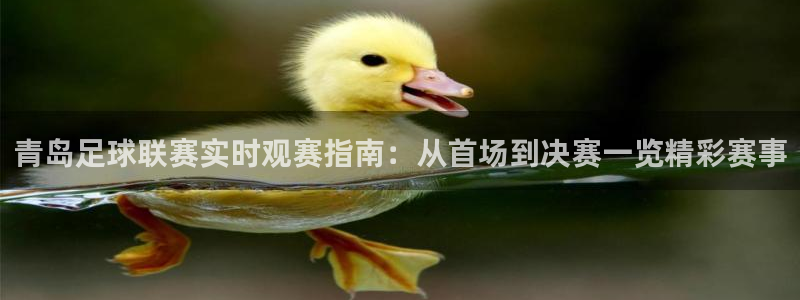青岛足球联赛实时观赛指南：从首场到决赛一览精彩赛事