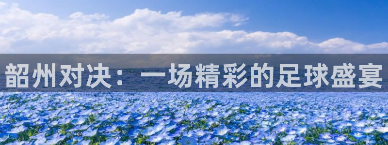 韶州对决：一场精彩的足球盛宴