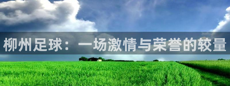 柳州足球：一场激情与荣誉的较量