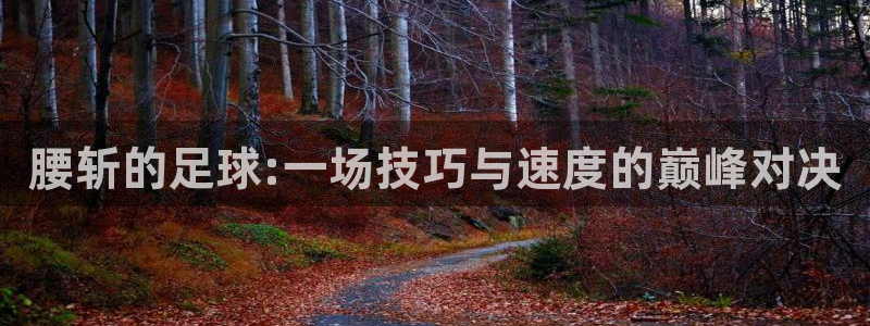  腰斩的足球:一场技巧与速度的巅峰对决