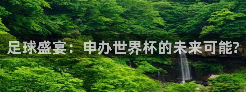  足球盛宴：申办世界杯的未来可能?