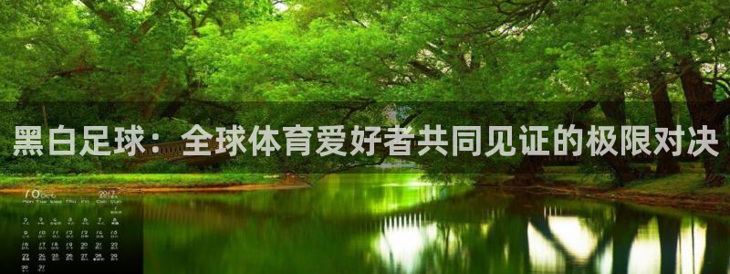 黑白足球：全球体育爱好者共同见证的极限对决