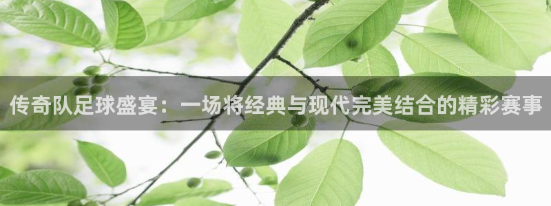  传奇队足球盛宴：一场将经典与现代完美结合的精彩赛事