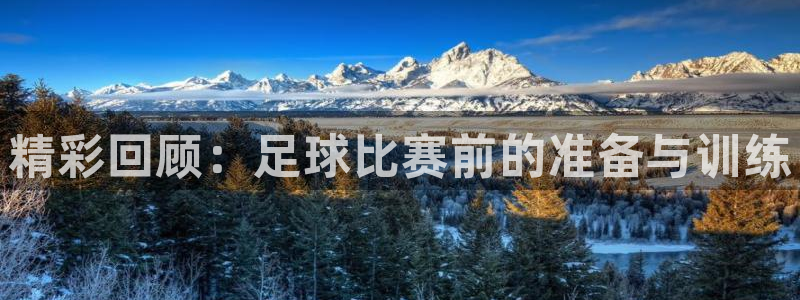 精彩回顾：足球比赛前的准备与训练