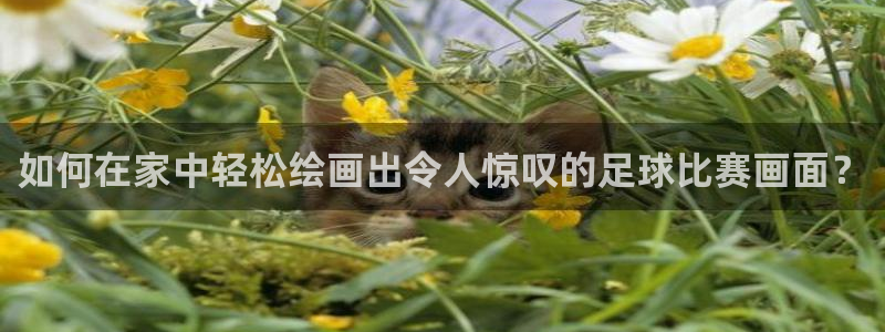  如何在家中轻松绘画出令人惊叹的足球比赛画面？