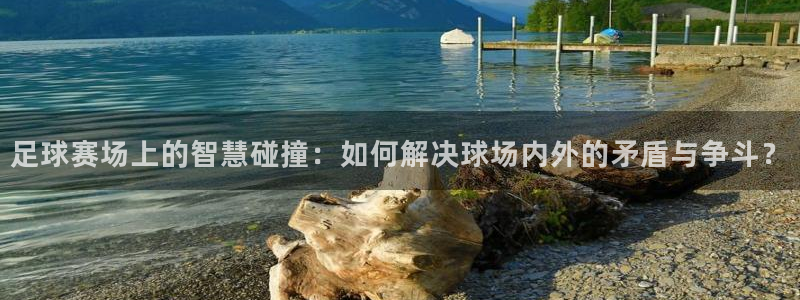 足球赛场上的智慧碰撞：如何解决球场内外的矛盾与争斗？