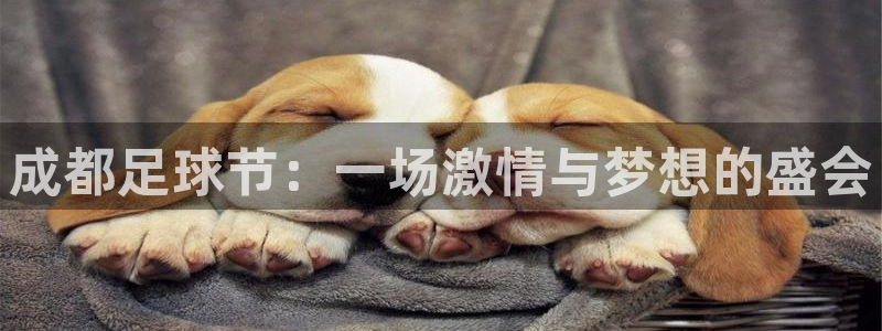  成都足球节：一场激情与梦想的盛会