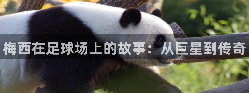 梅西在足球场上的故事：从巨星到传奇