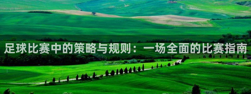 足球比赛中的策略与规则：一场全面的比赛指南