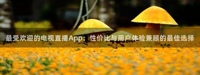 新球网直播：最受欢迎的电视直播App：性价比与用户体验兼顾的最佳选择