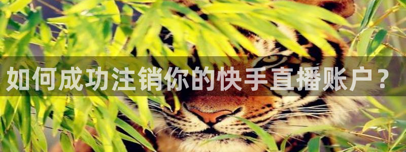 新球体育完整版：如何成功注销你的快手直播账户？