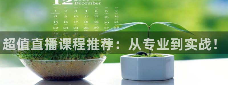 新球体育赛事：超值直播课程推荐：从专业到实战！