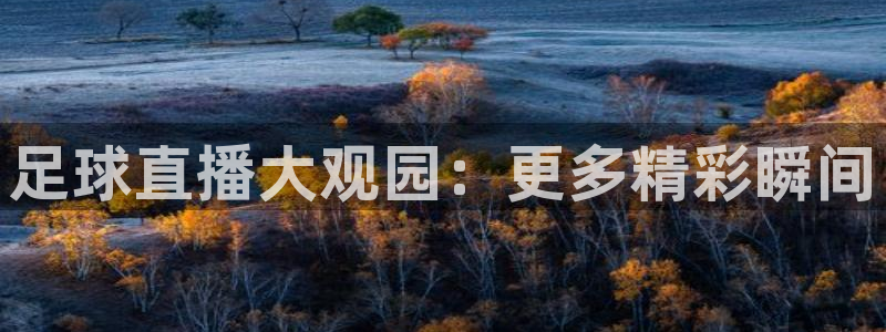 新球体育足球比分：足球直播大观园：更多精彩瞬间