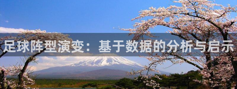 足球阵型演变：基于数据的分析与启示