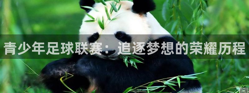 青少年足球联赛：追逐梦想的荣耀历程