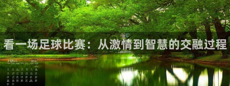 看一场足球比赛：从激情到智慧的交融过