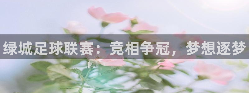 绿城足球联赛：竞相争冠，梦想逐梦