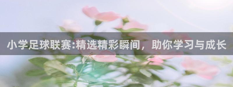 小学足球联赛:精选精彩瞬间，助你学习