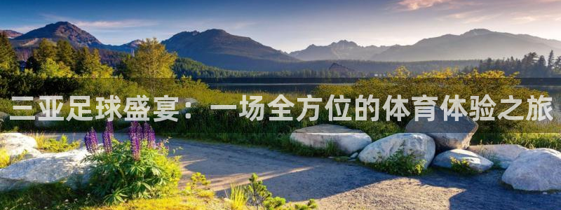 三亚足球盛宴：一场全方位的体育体验之