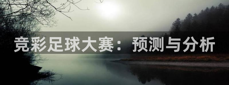 竞彩足球大赛：预测与分析