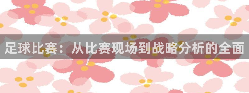 足球比赛：从比赛现场到战略分析的全面