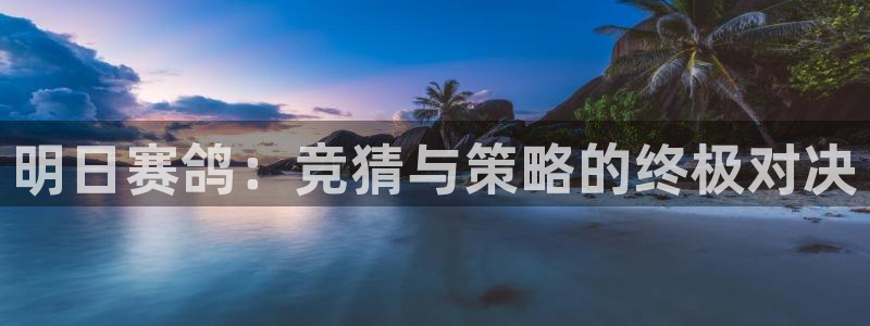 新球体育app：明日赛鸽：竞猜与策略的终极对决