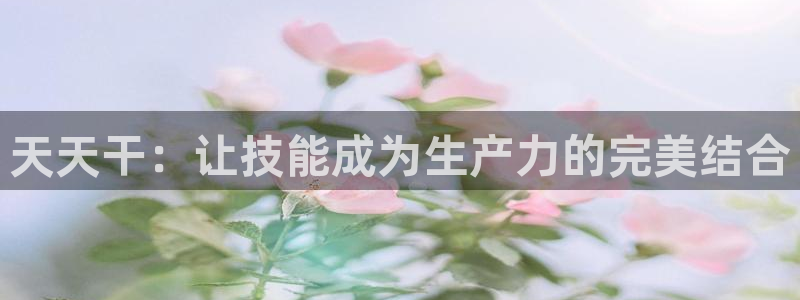 新体球即时比分新球体育：天天干：让技能成为生产力的完美结合