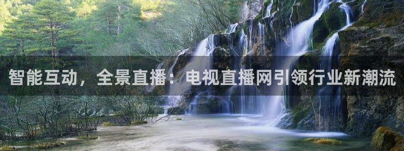 新球体育完整版：智能互动，全景直播：电视直播网引领行业新潮流