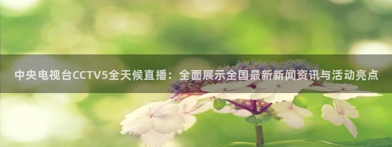 新球体育完整版