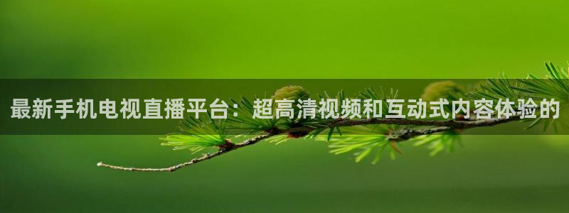 新球体育篮球比分