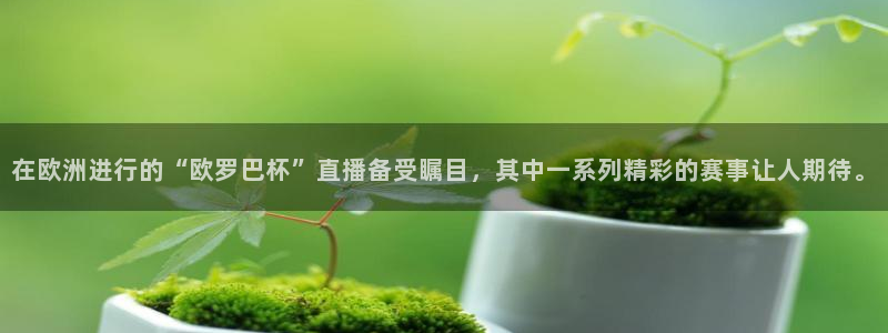 新球体育足球即时比分：在欧洲进行的“欧罗巴杯”直播备受瞩目，其中一系列精彩的赛事让人期待。